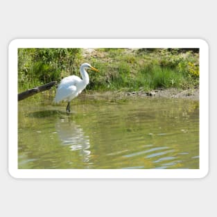 Egret Sticker